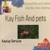 kaydotworm55